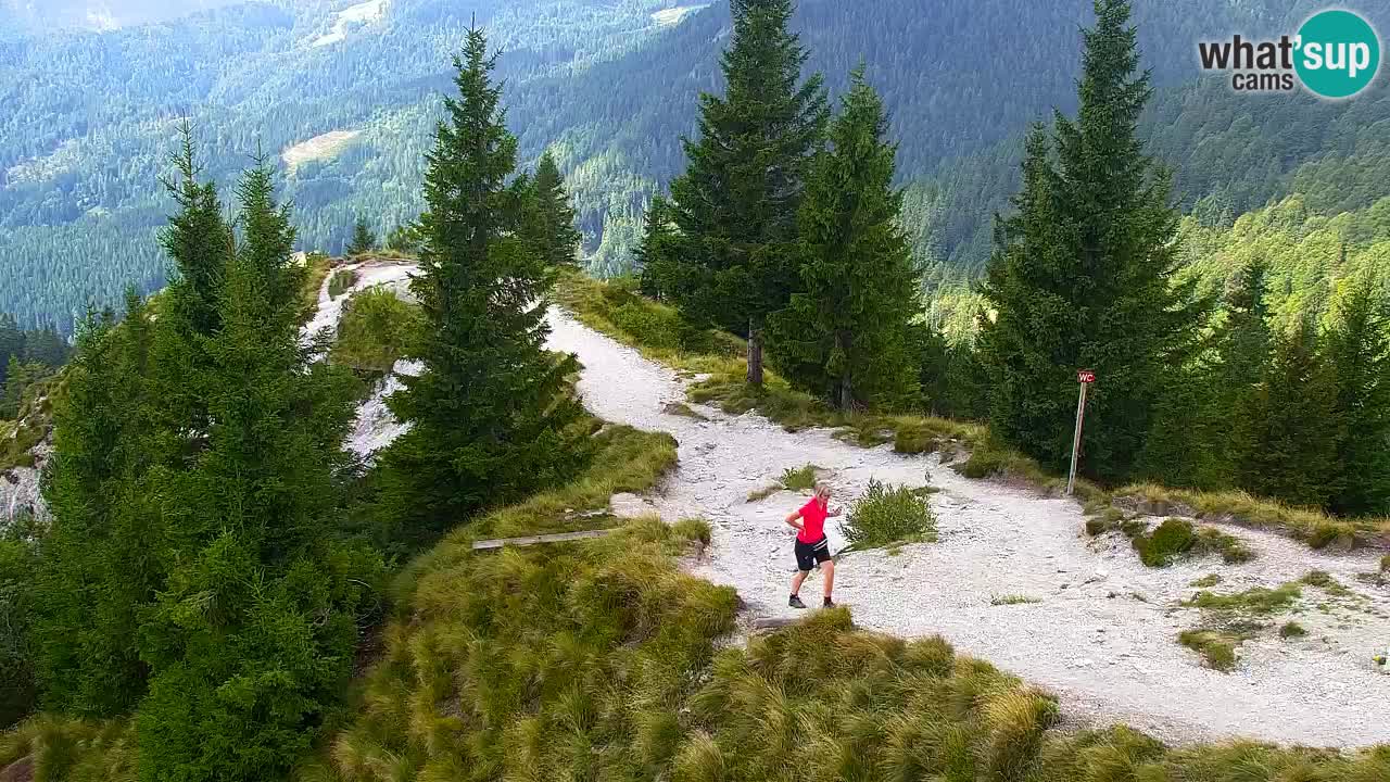 Koča na Golici Webcam (1582 m) – Slowenien