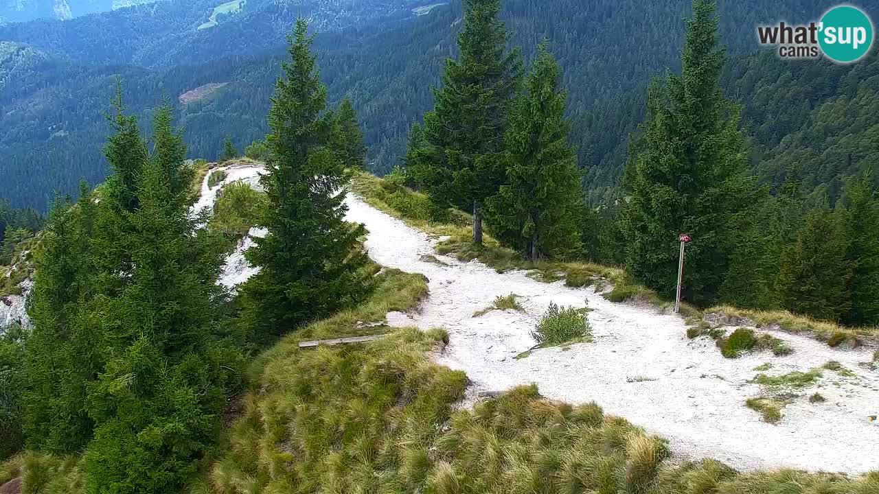 Koča na Golici Webcam (1582 m) – Slowenien