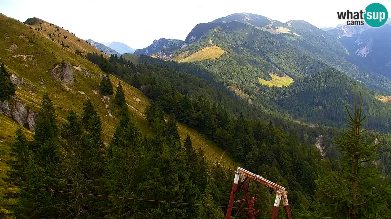 Web kamera Koča na Golici (1582 m) – Slovenija