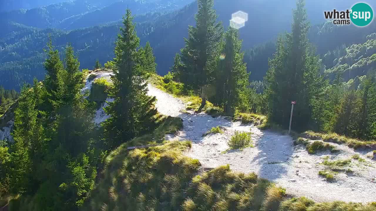 Webcam Chalet sur Golica (1582 m) – Slovénie