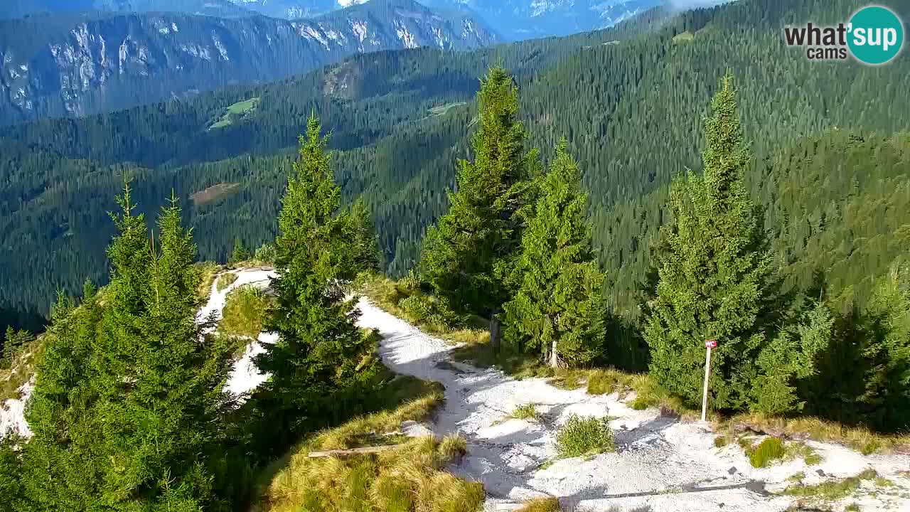 Webcam na Golici – Baita di montagna (1582 m) – Slovenia