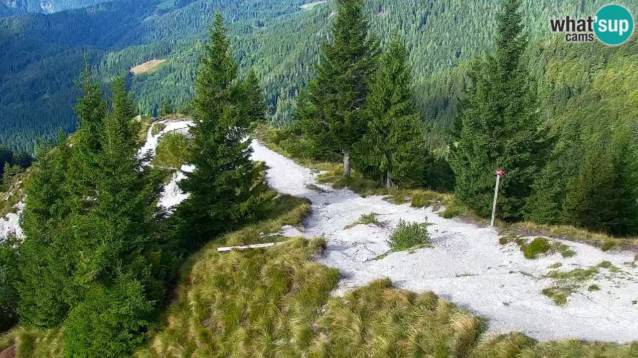 Koča na Golici Webcam (1582 m) – Slowenien