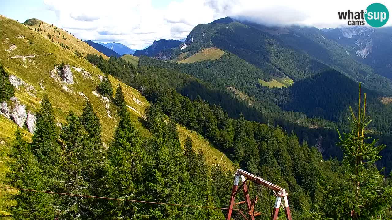 Webcam Koča na Golici (1582 m) – Slovenia