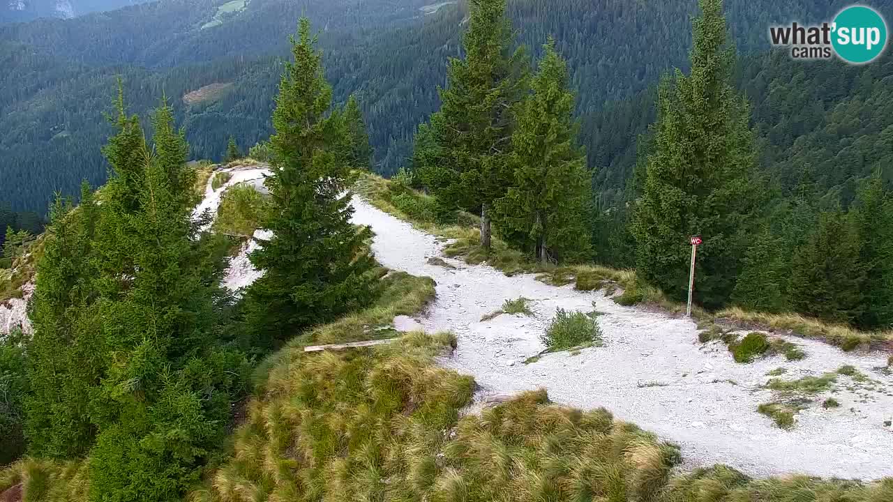Koča na Golici Webcam (1582 m) – Slowenien