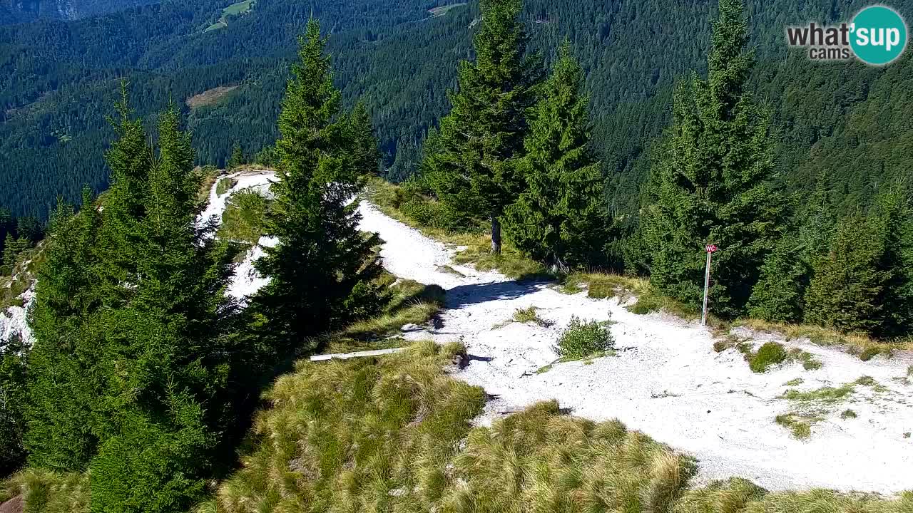 Koča na Golici Webcam (1582 m) – Slowenien
