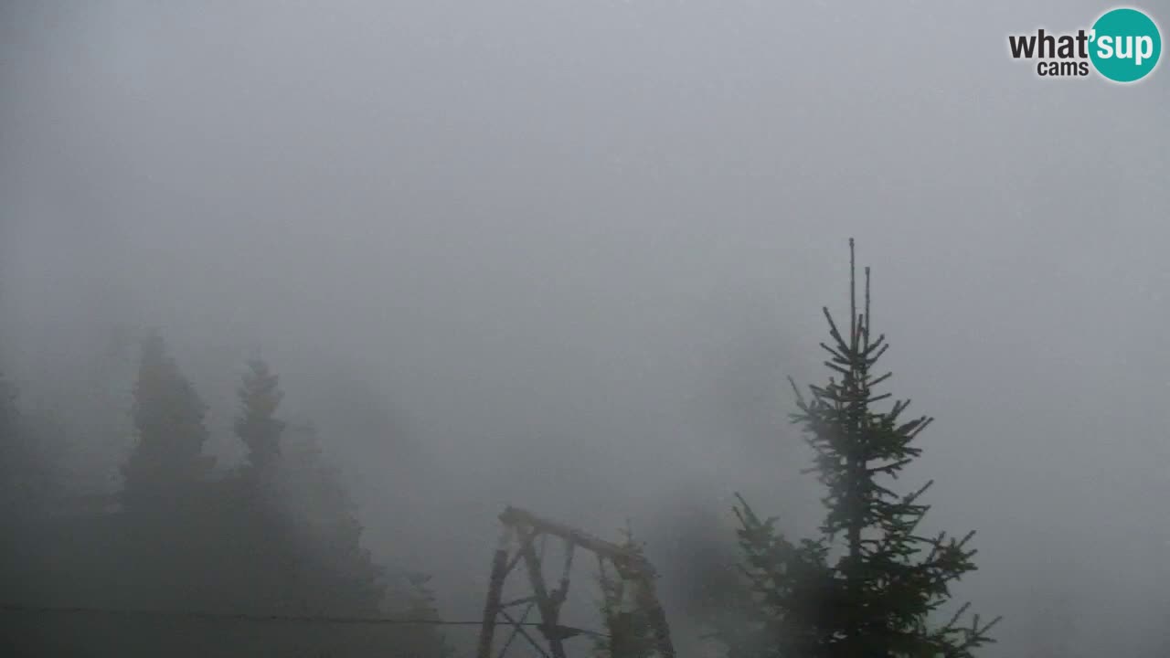 Koča na Golici Webcam (1582 m) – Slowenien