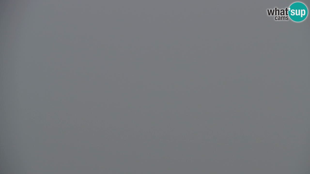 Web kamera Koča na Golici (1582 m) – Slovenija