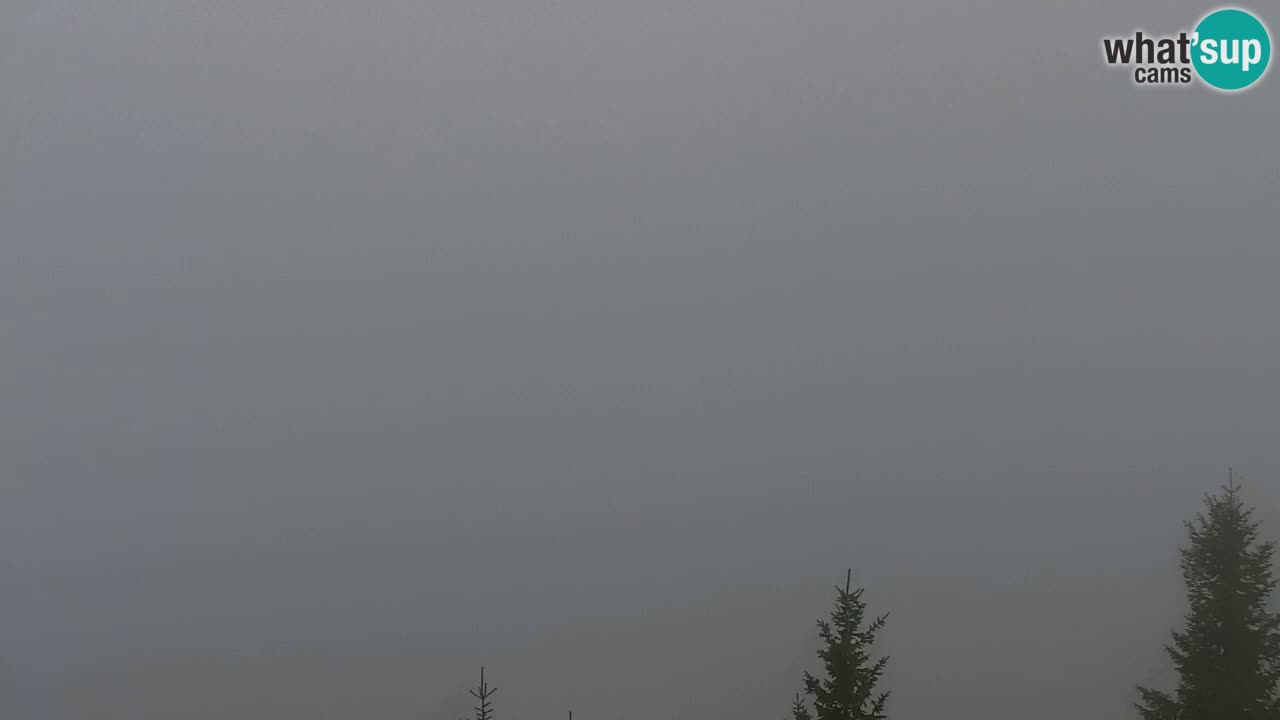 Webcam Koča na Golici (1582 m) – Slovenia