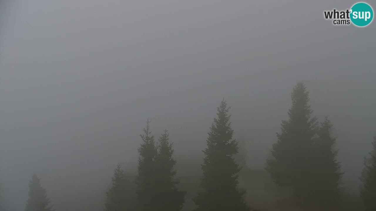 Spletna kamera Koča na Golici (1582 m) – Jesenice