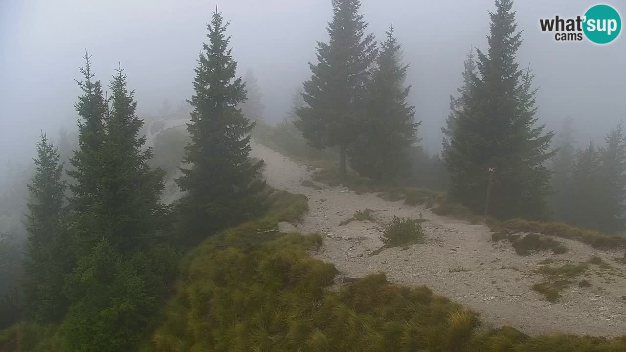 Webcam Chalet sur Golica (1582 m) – Slovénie
