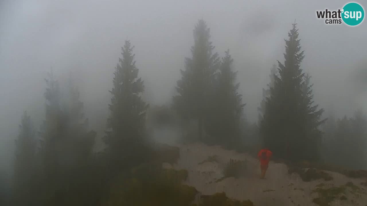 Webcam na Golici – Baita di montagna (1582 m) – Slovenia