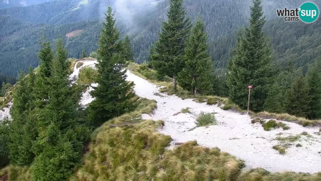Webcam Koča na Golici (1582 m) – Slovenia