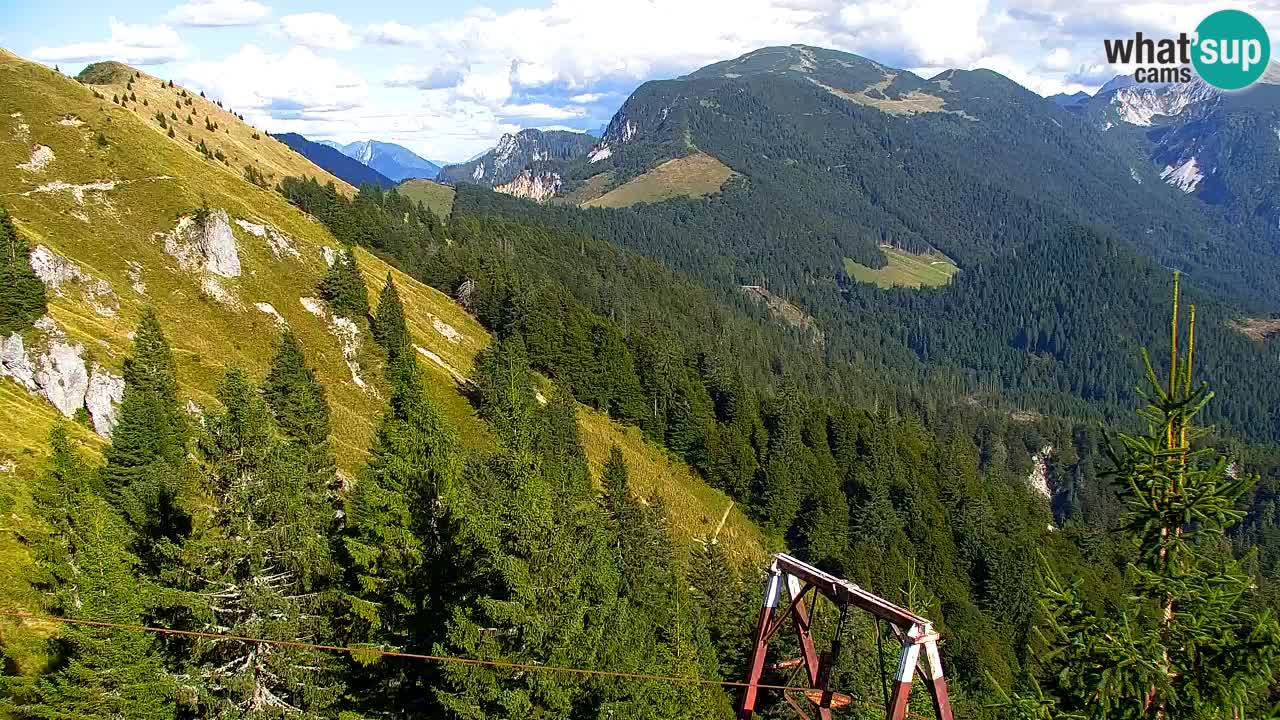 Webcam Koča na Golici (1582 m) – Slovenia