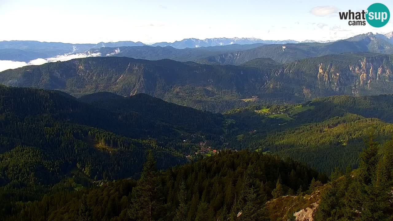 Webcam Koča na Golici (1582 m) – Slovenia
