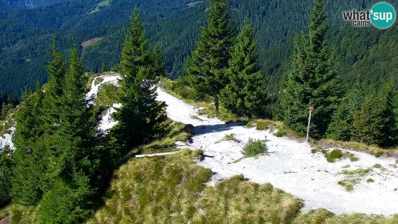 Webcam Koča na Golici (1582 m) – Slovenia