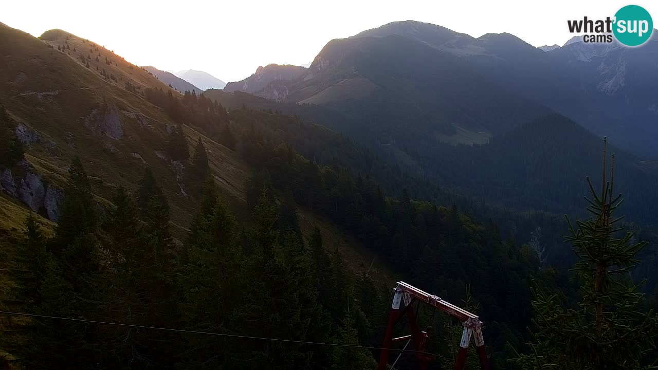Webcam Koča na Golici (1582 m) – Slovenia