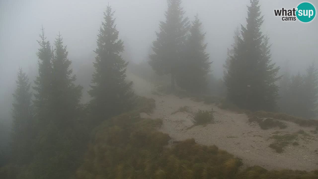 Spletna kamera Koča na Golici (1582 m) – Jesenice