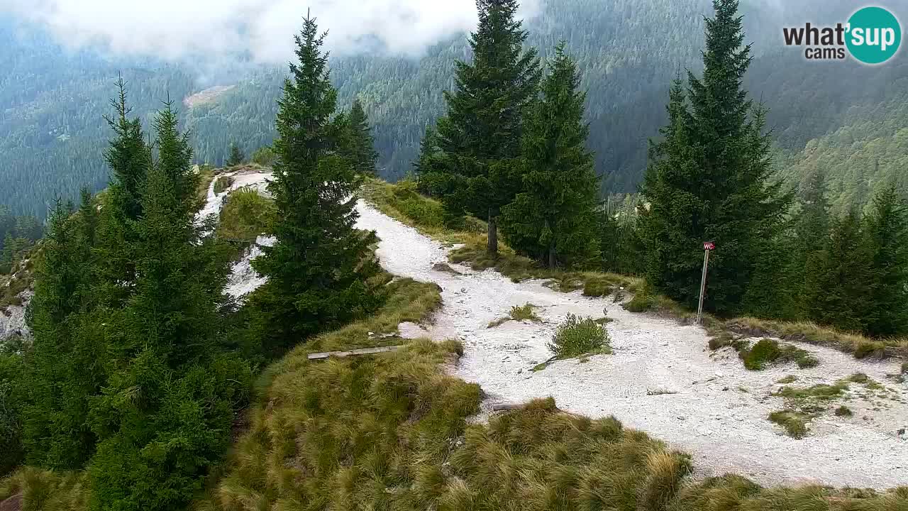 Spletna kamera Koča na Golici (1582 m) – Jesenice