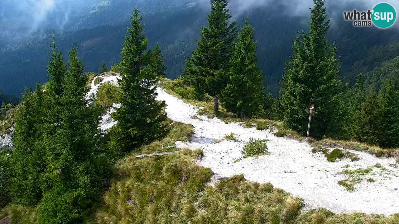 Spletna kamera Koča na Golici (1582 m) – Jesenice