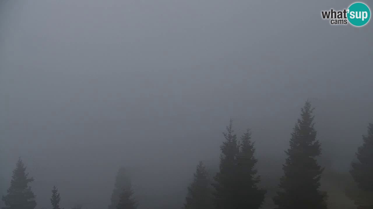 Spletna kamera Koča na Golici (1582 m) – Jesenice