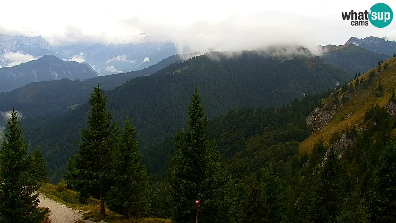 Koča na Golici Webcam (1582 m) – Slowenien