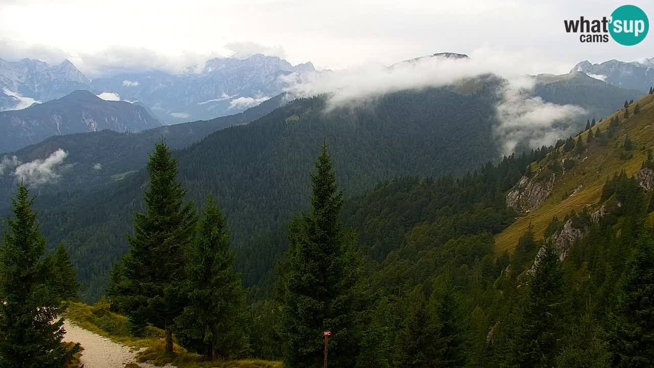 Koča na Golici Webcam (1582 m) – Slowenien