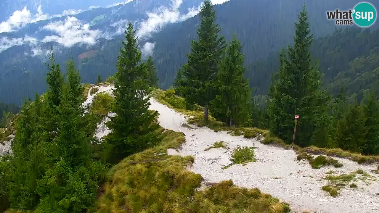 Webcam Koča na Golici (1582 m) – Slovenia