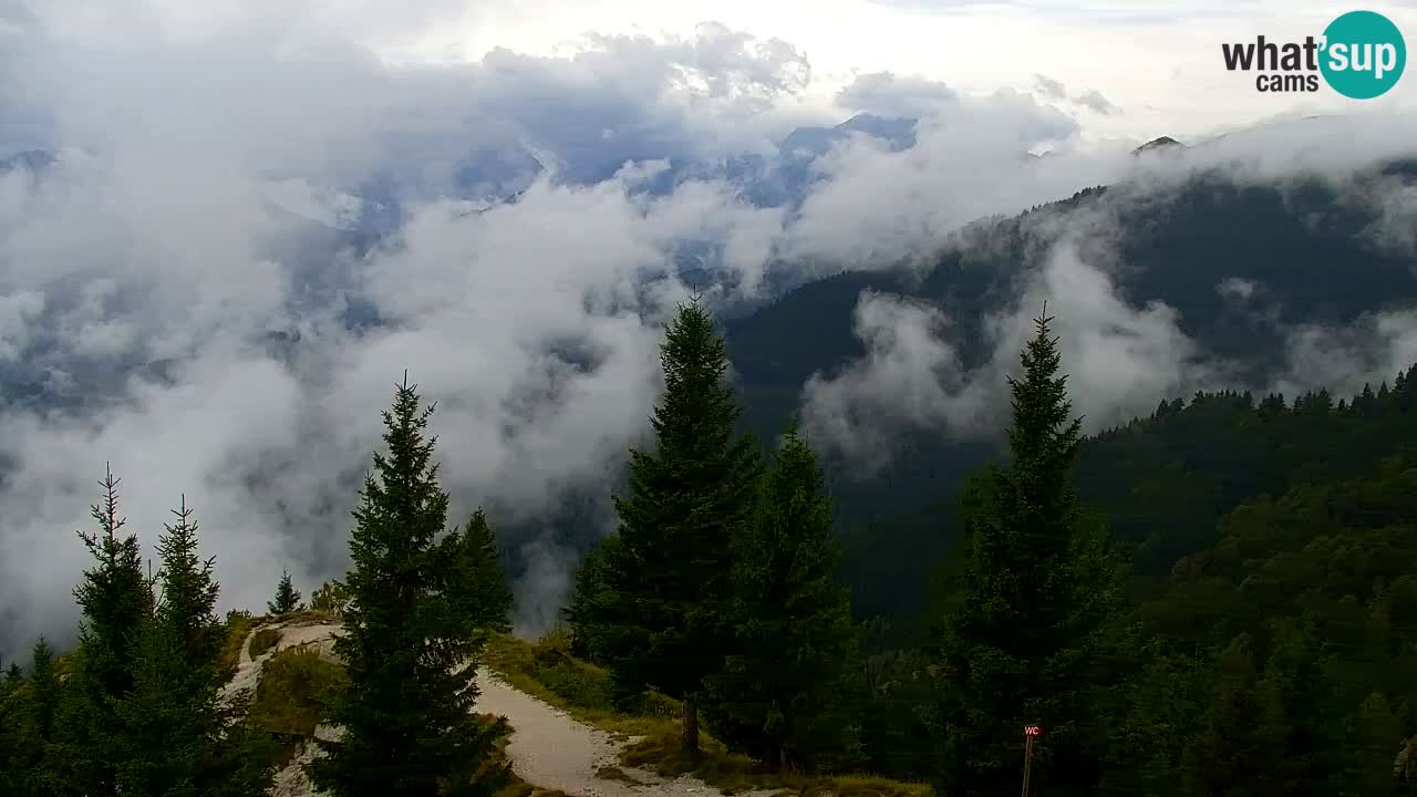 Webcam Koča na Golici (1582 m) – Slovenia