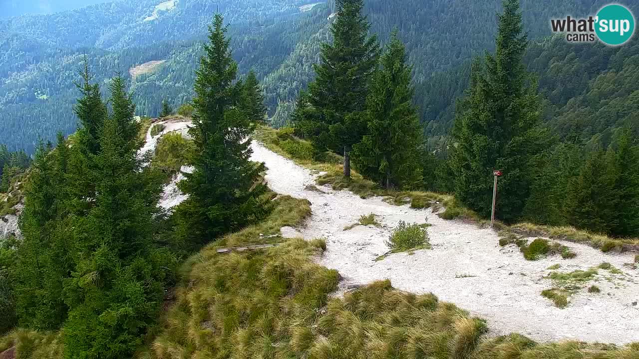 Webcam Koča na Golici (1582 m) – Slovenia