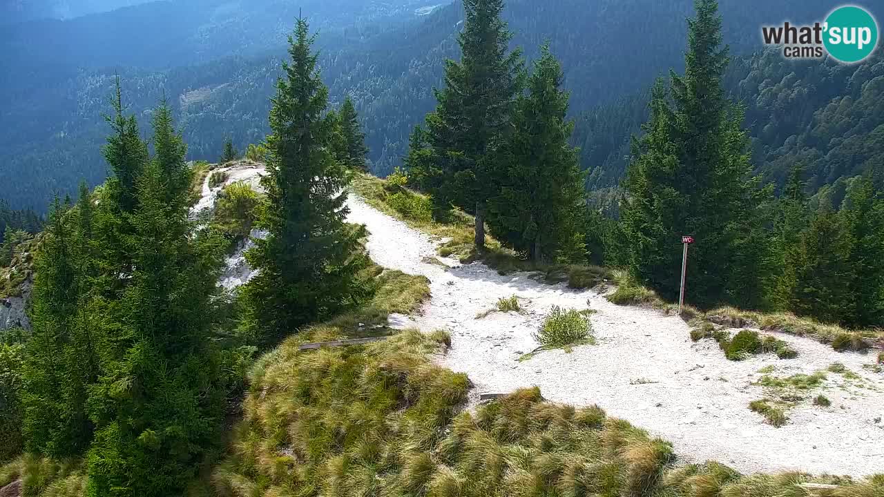 Webcam na Golici – Baita di montagna (1582 m) – Slovenia