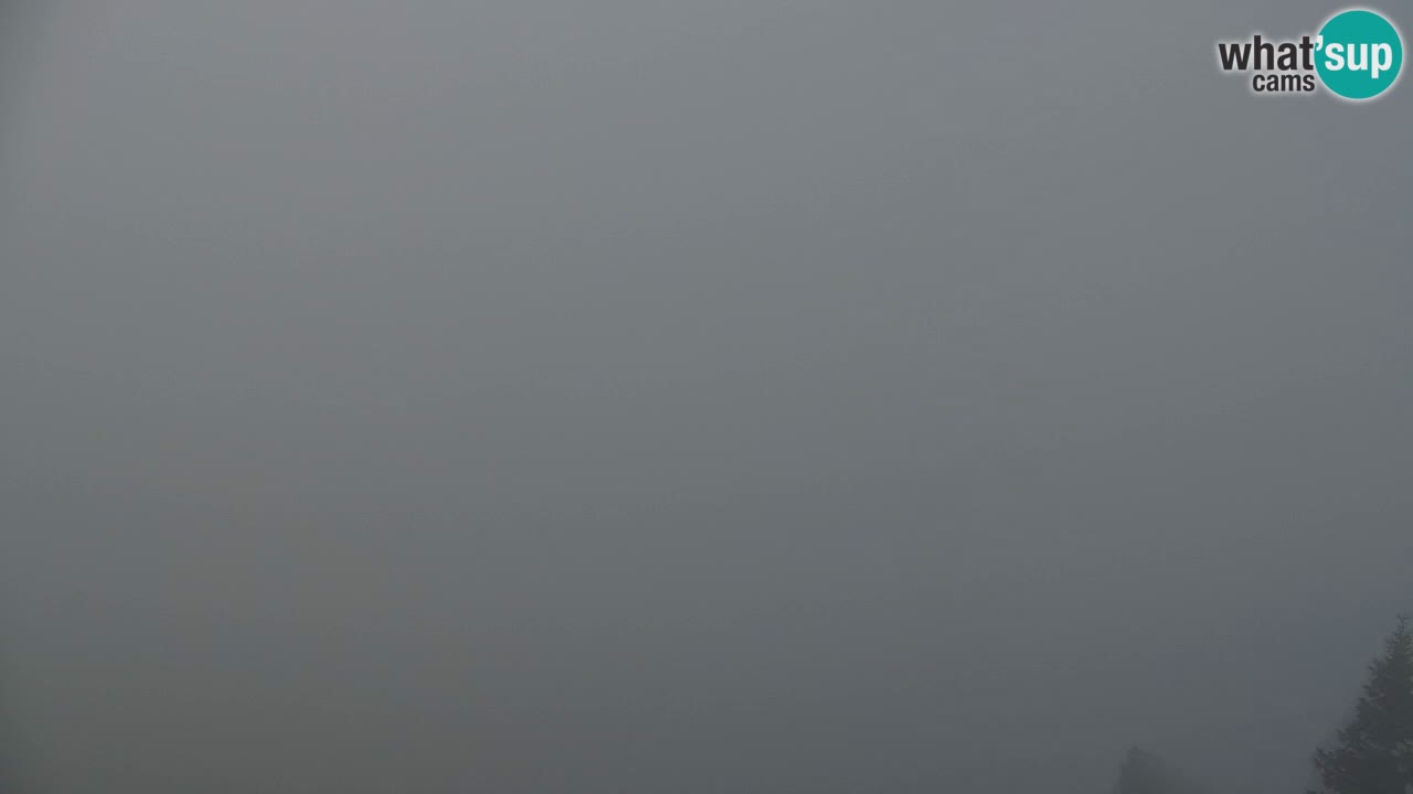Web kamera Koča na Golici (1582 m) – Slovenija