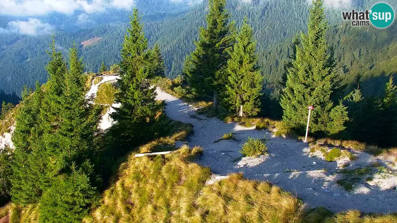 Webcam na Golici – Baita di montagna (1582 m) – Slovenia