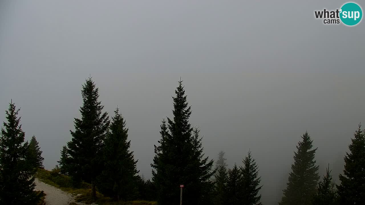 Webcam Koča na Golici (1582 m) – Slovenia