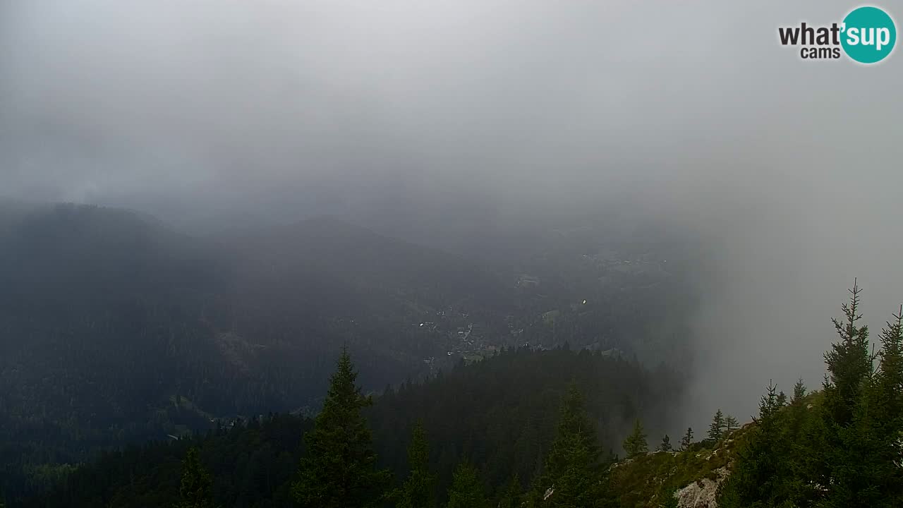 Webcam Koča na Golici (1582 m) – Slovenia