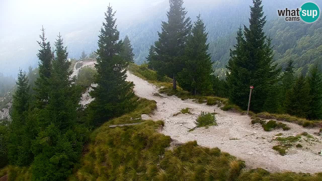 Webcam Koča na Golici (1582 m) – Slovenia