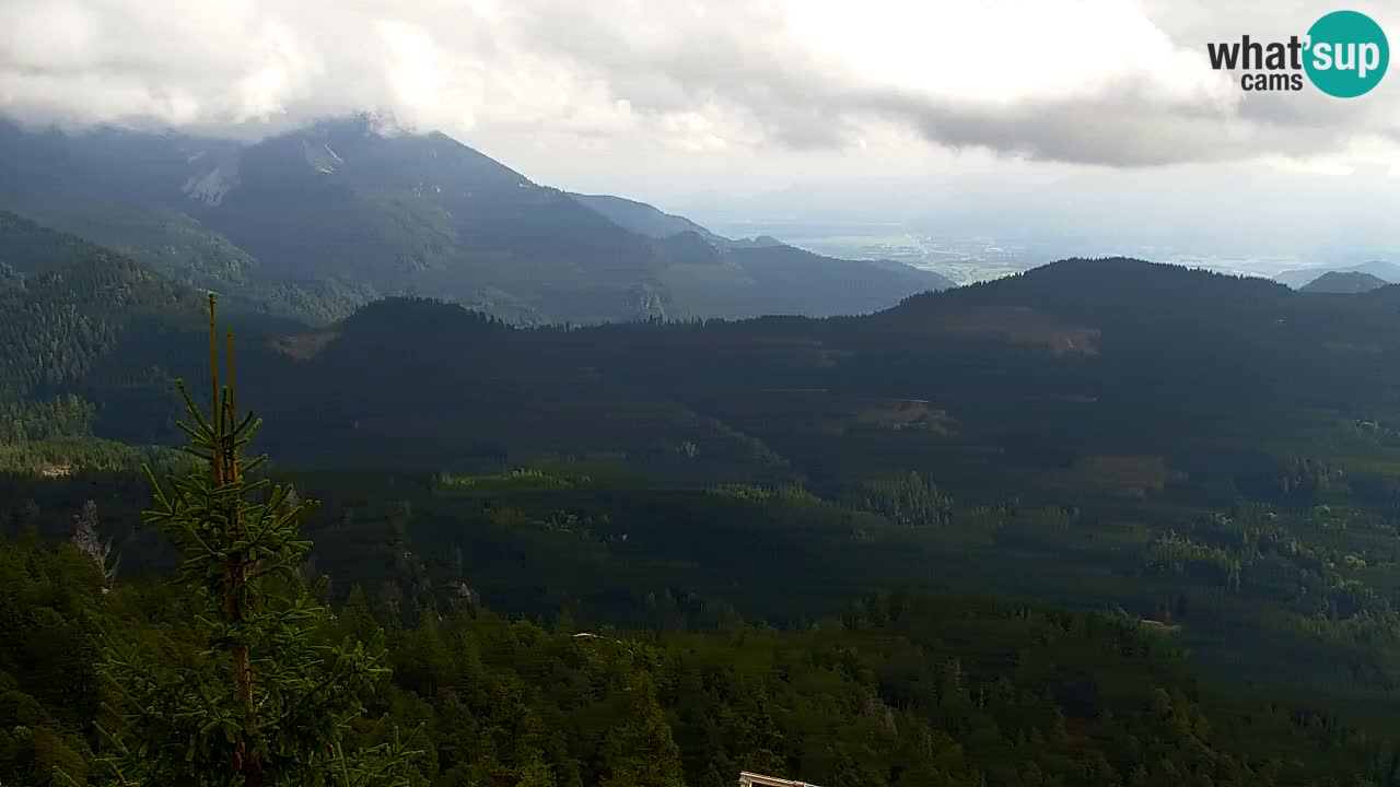 Webcam Koča na Golici (1582 m) – Slovenia