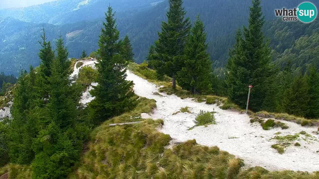 Webcam Koča na Golici (1582 m) – Slovenia