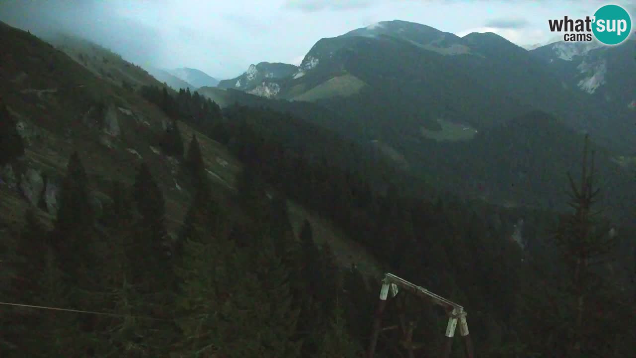 Webcam Koča na Golici (1582 m) – Slovenia