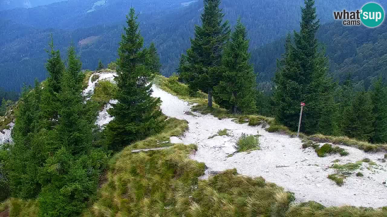 Webcam na Golici – Baita di montagna (1582 m) – Slovenia