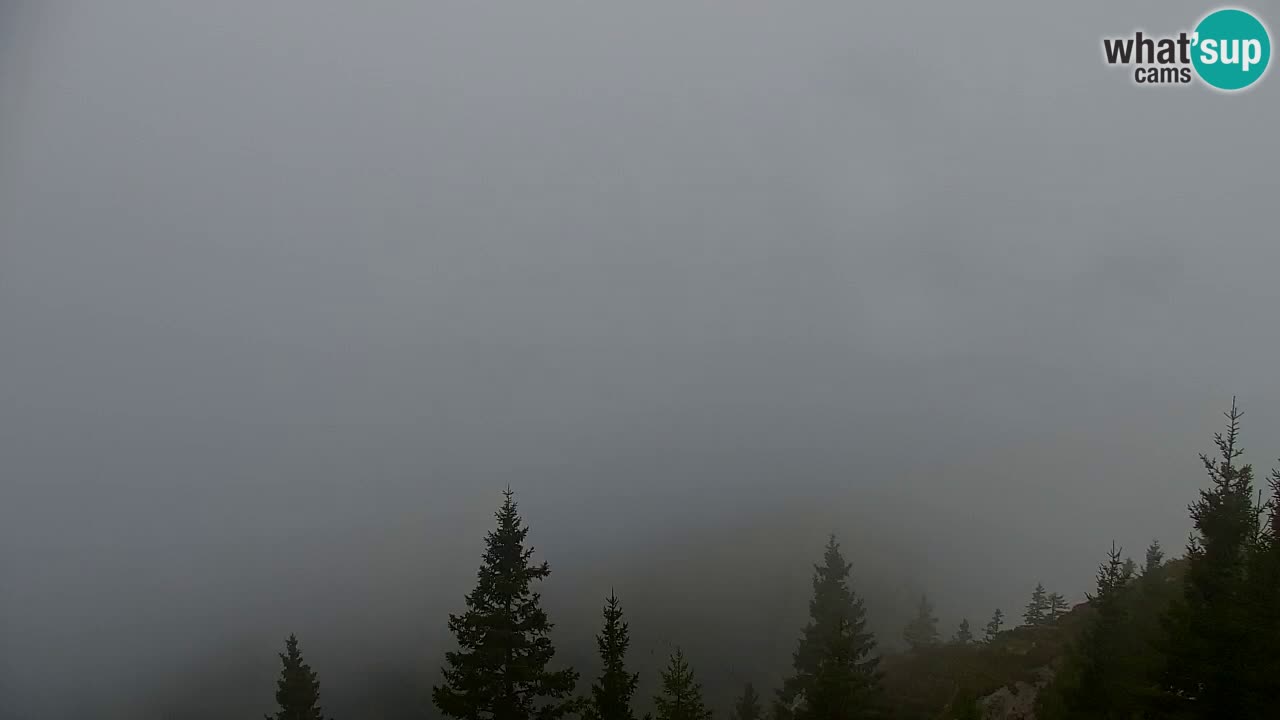 Spletna kamera Koča na Golici (1582 m) – Jesenice
