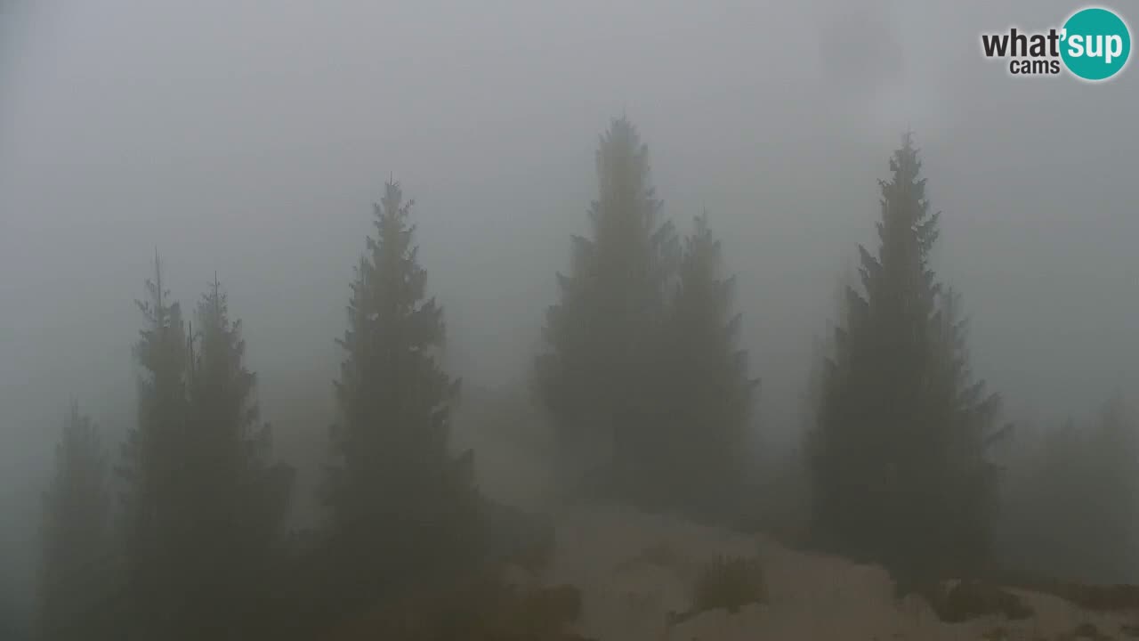 Koča na Golici Webcam (1582 m) – Slowenien