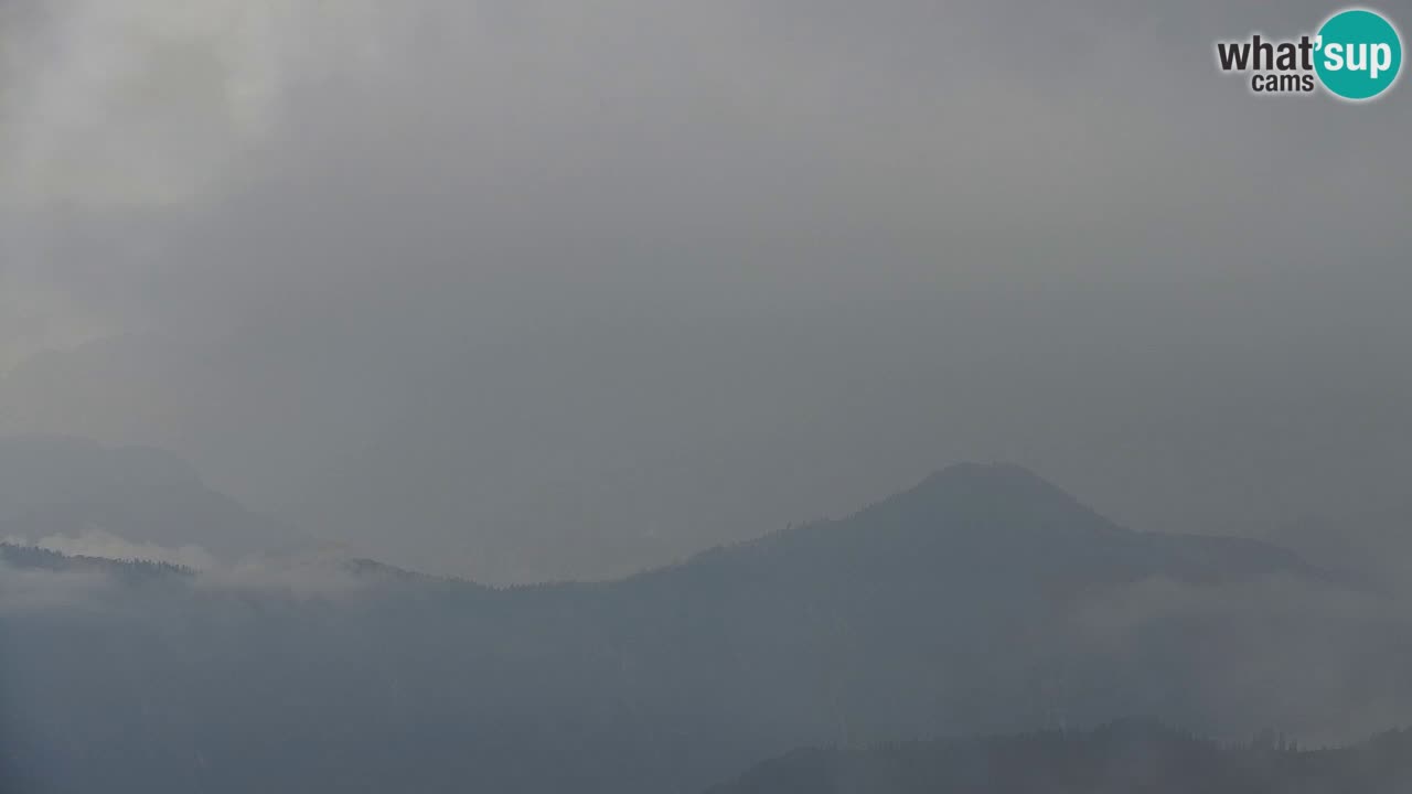 Koča na Golici Webcam (1582 m) – Slowenien