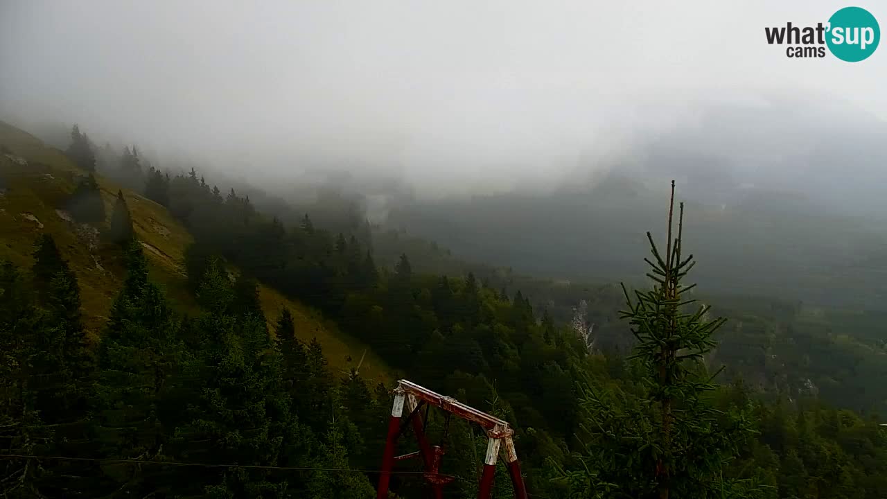 Web kamera Koča na Golici (1582 m) – Slovenija