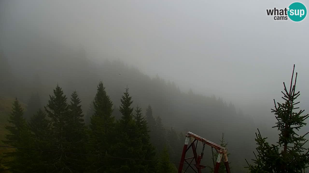 Web kamera Koča na Golici (1582 m) – Slovenija