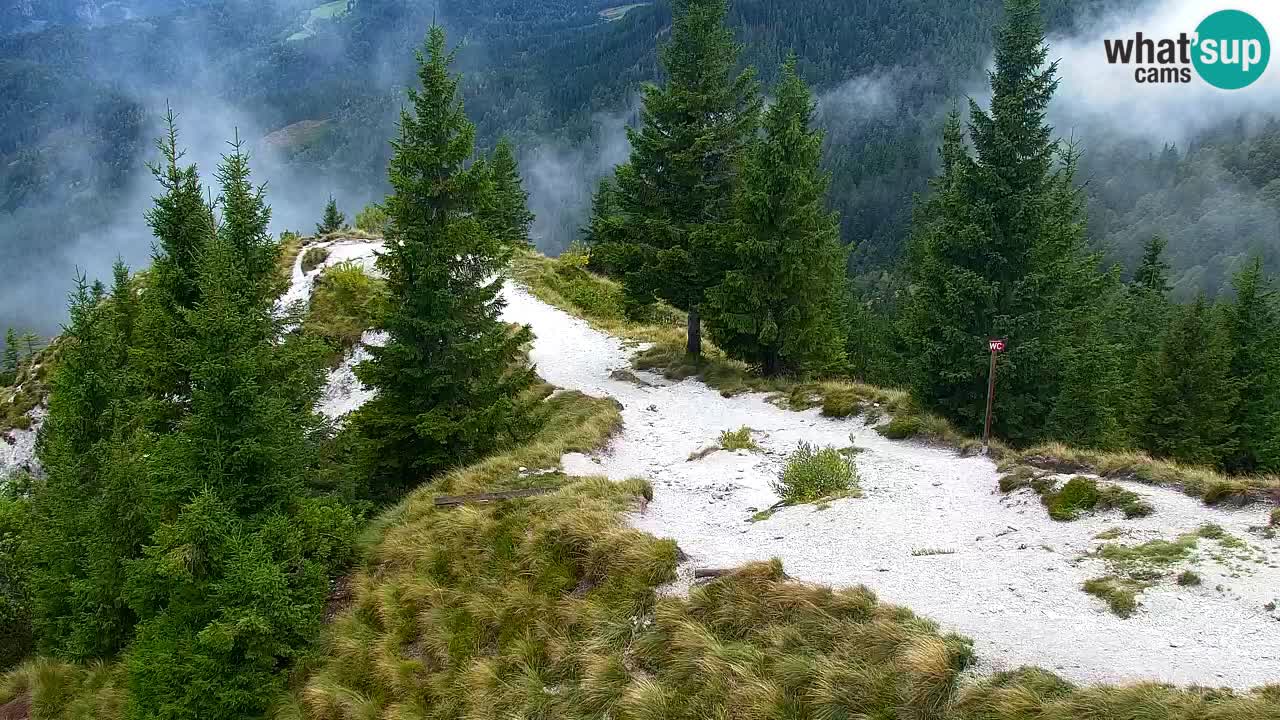 Spletna kamera Koča na Golici (1582 m) – Jesenice