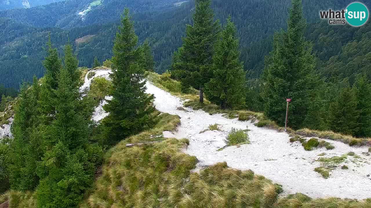 Webcam Koča na Golici (1582 m) – Slovenia