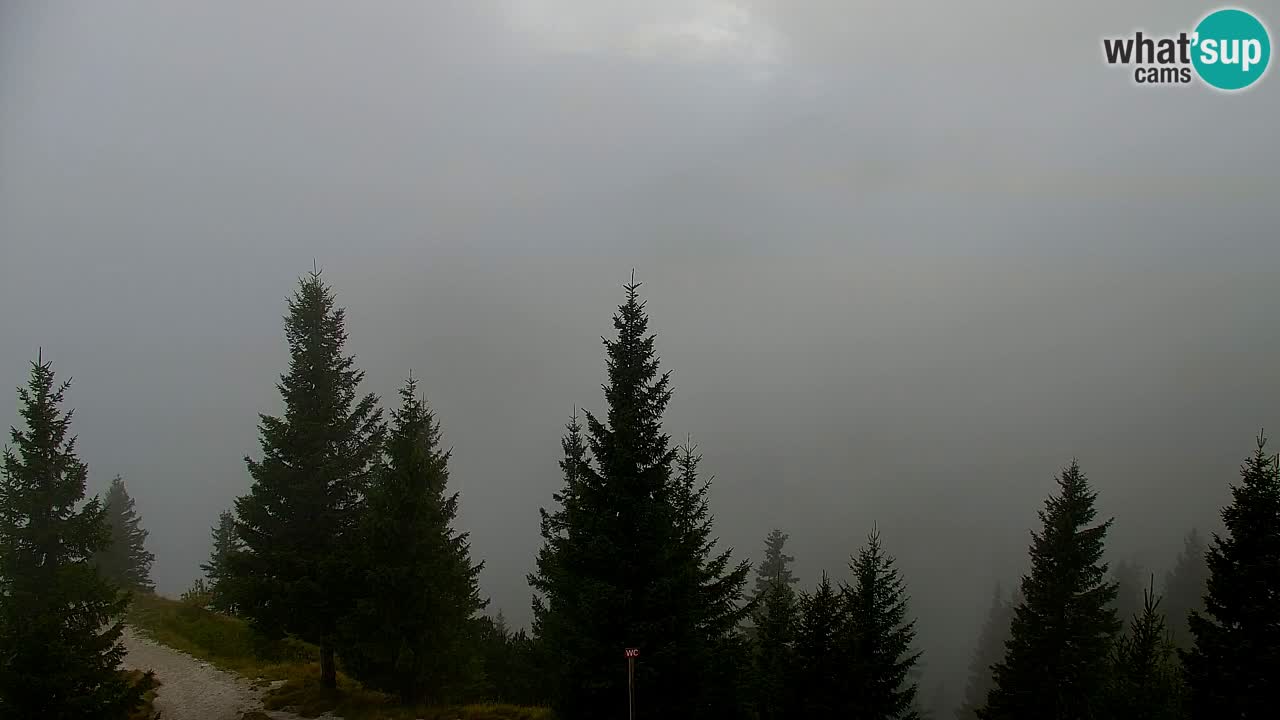 Koča na Golici Webcam (1582 m) – Slowenien