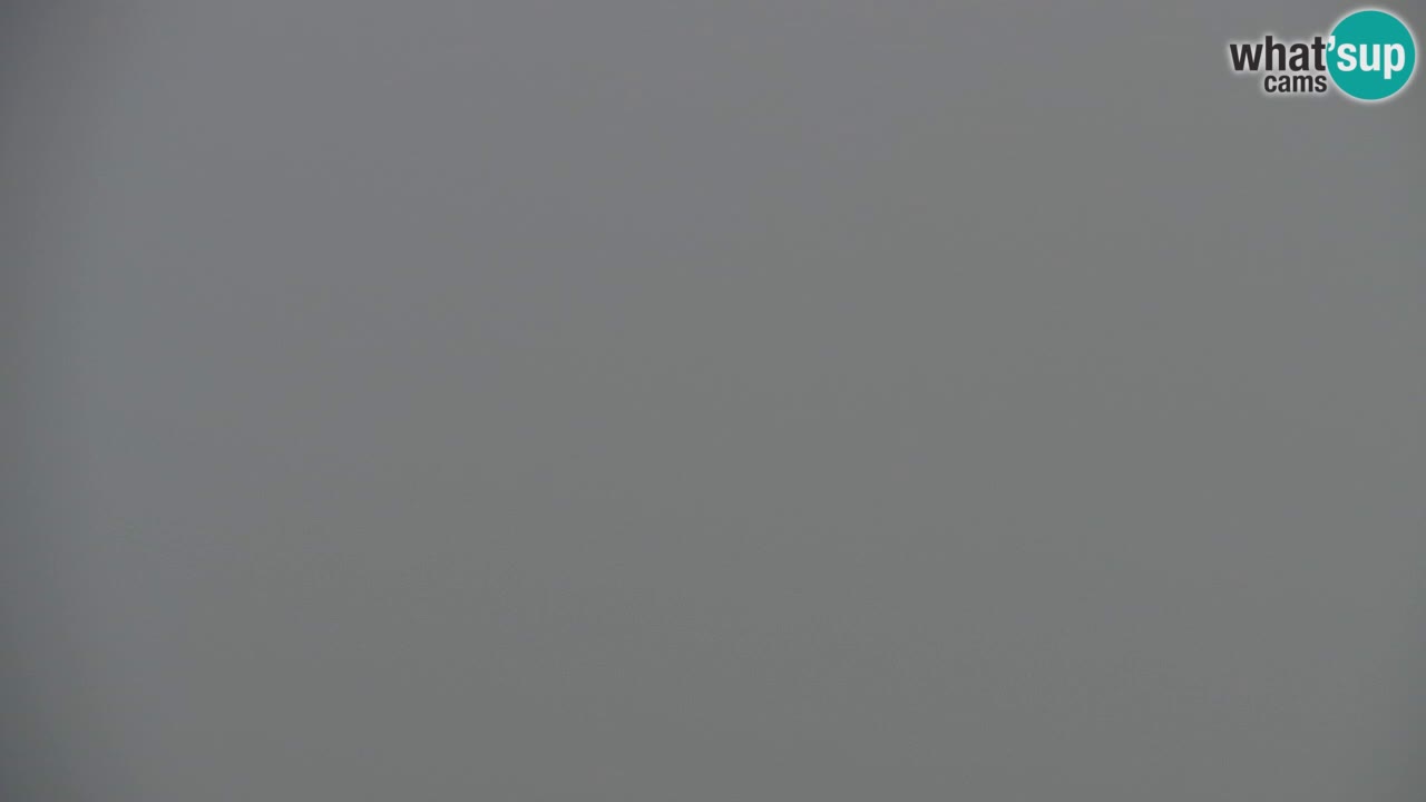 Web kamera Koča na Golici (1582 m) – Slovenija