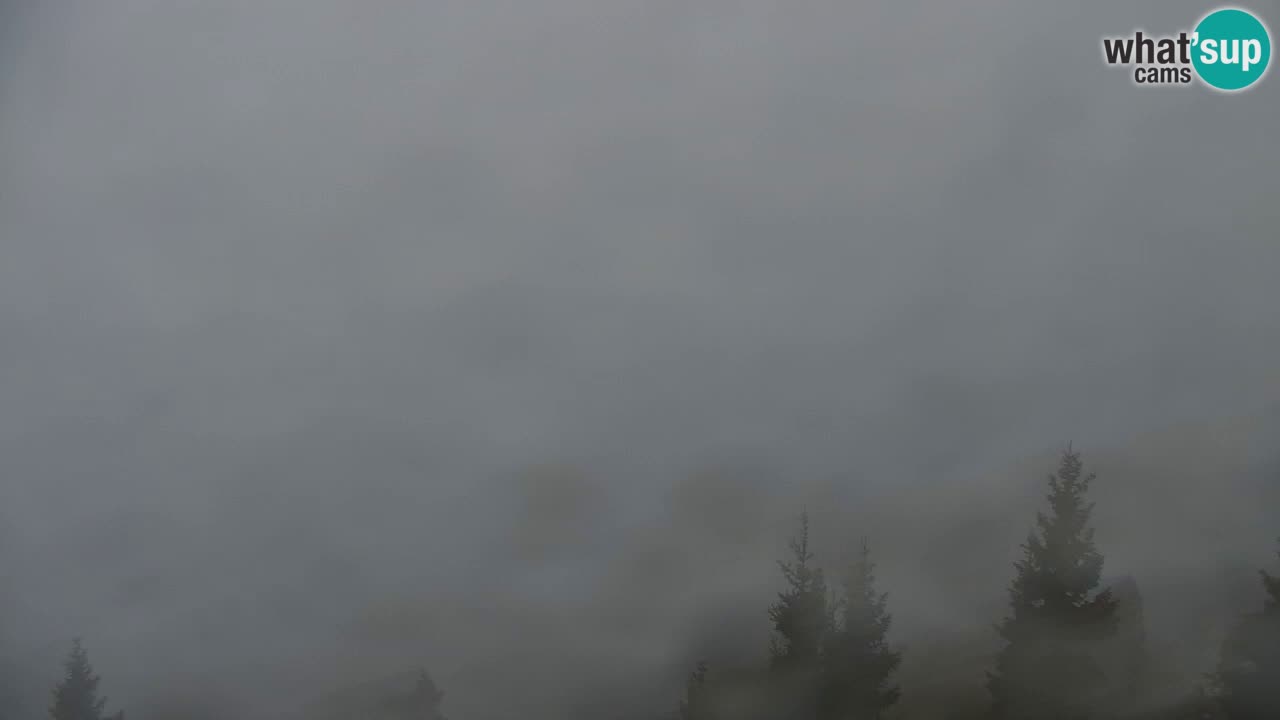 Spletna kamera Koča na Golici (1582 m) – Jesenice