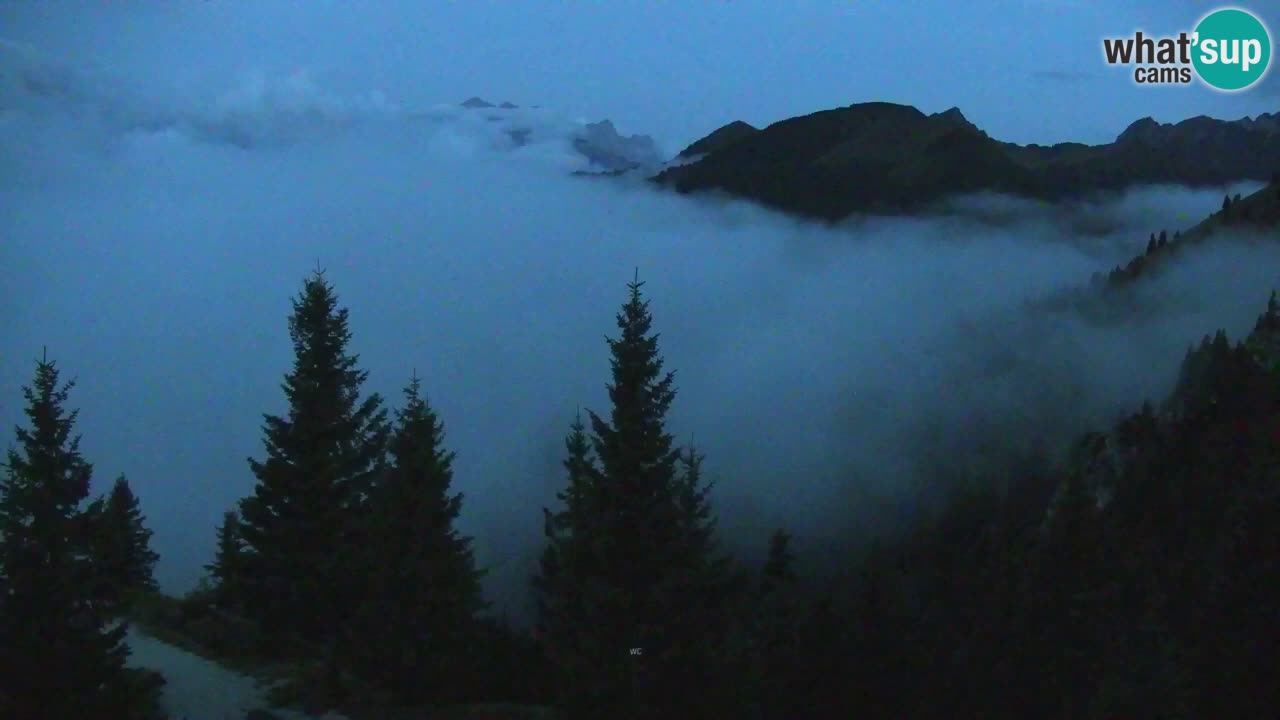 Webcam Koča na Golici (1582 m) – Slovenia
